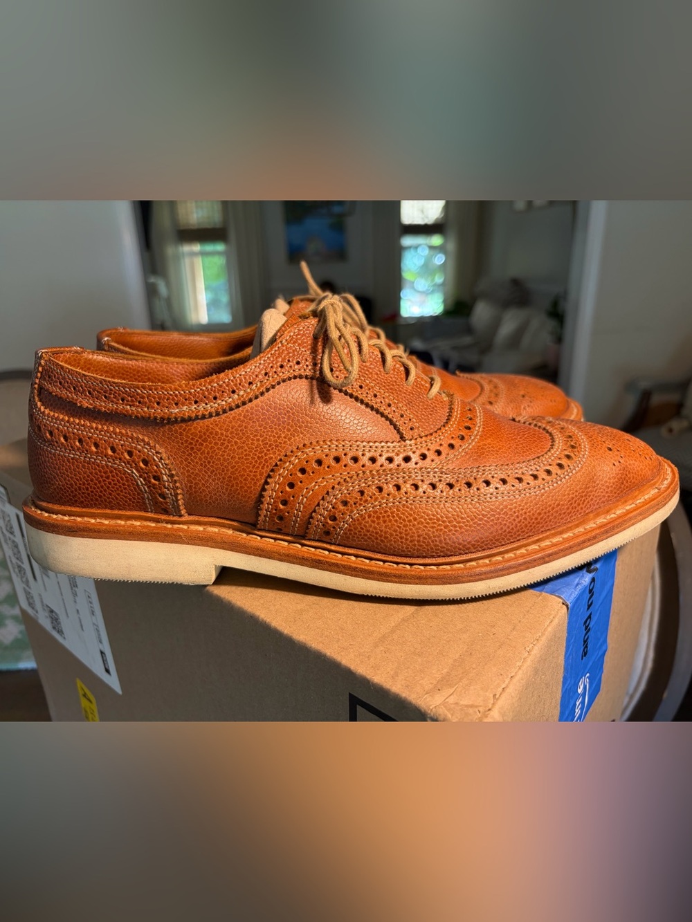 Allen Edmond’s Men’s Neumok 2.0 Wingtip size 8.5 D